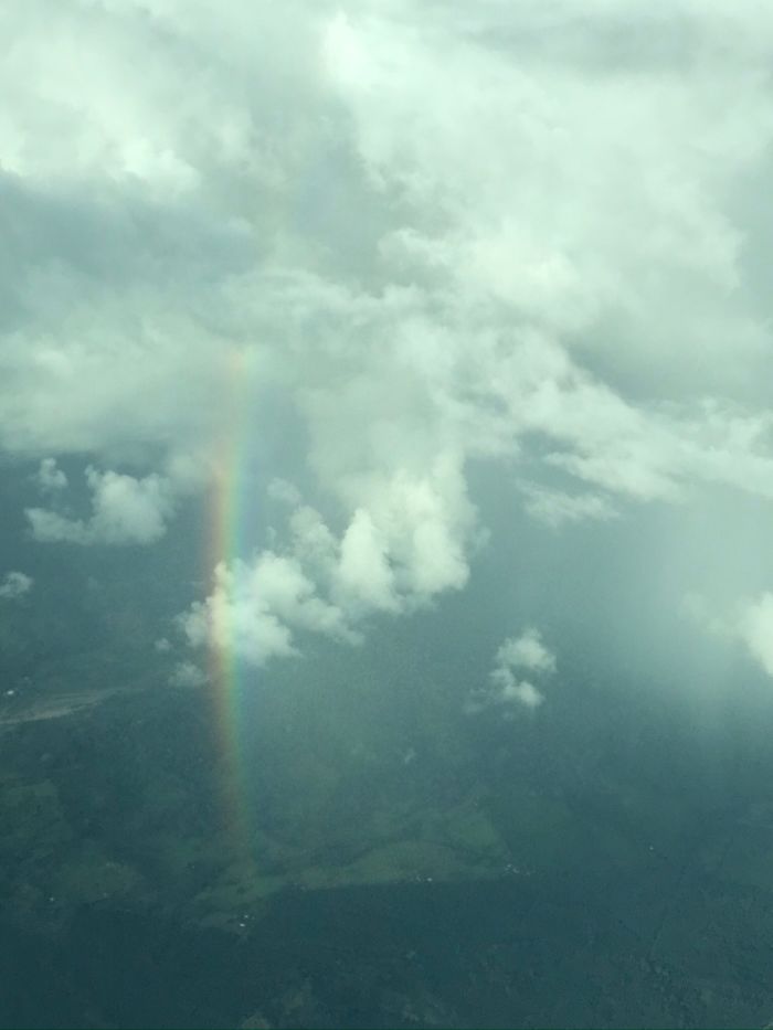 On Our Way To Costa Rica We Saw This Beauty