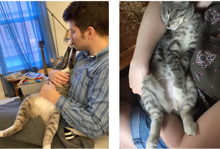 Georgia Insists On Being Held Like A Baby And Having Her Paws Kissed