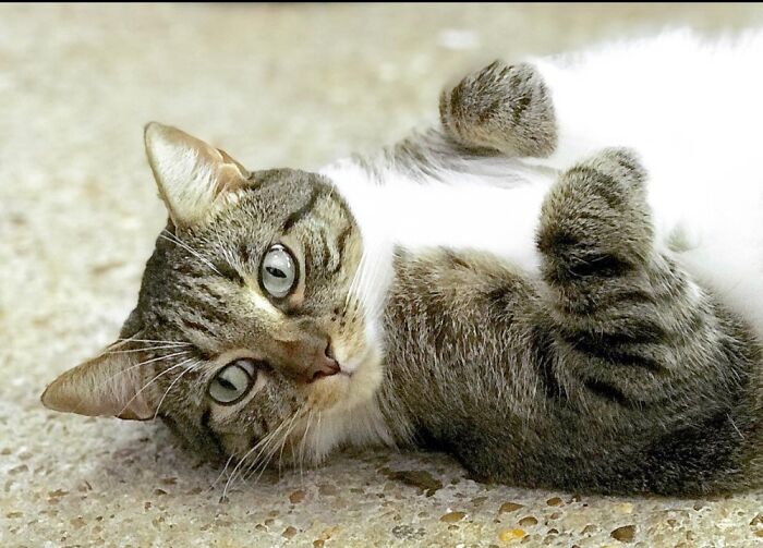 Judah Loves To Sleep On His Back. His Curled Toes Are So Cute