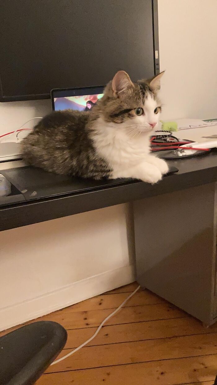 Definitely Helping Myboyfriend Do Important Work. Such A Good Boy!