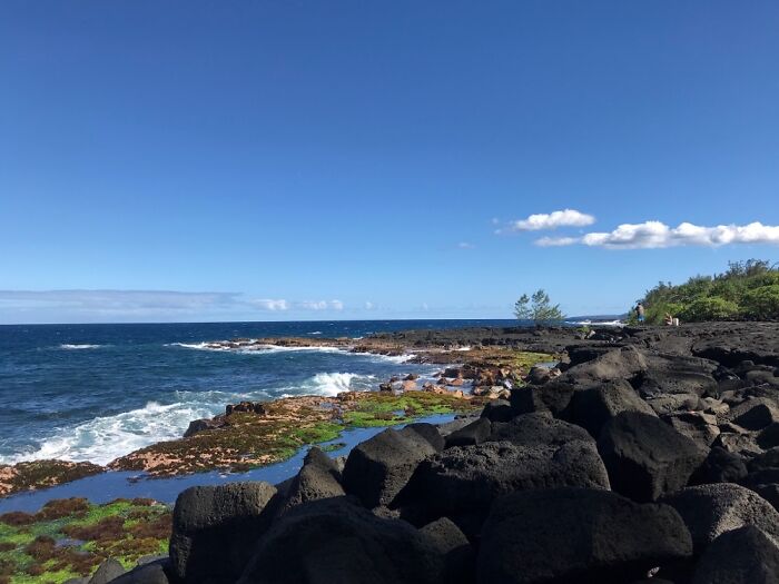 ‘End Of The Earth’, Hawaii Island. Waves, Sea Spray, Turtles, & When Lucky Whales. Pure Peace.