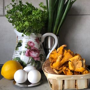 sandra_brehm_westh avatar