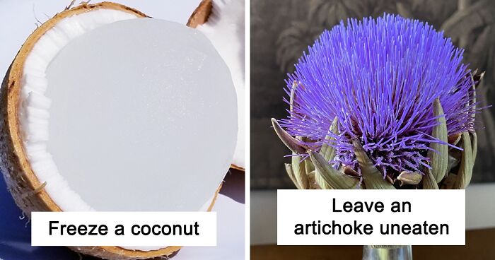 50 People Are Sharing “What Happens If…” So You Don’t Have To Keep Wondering