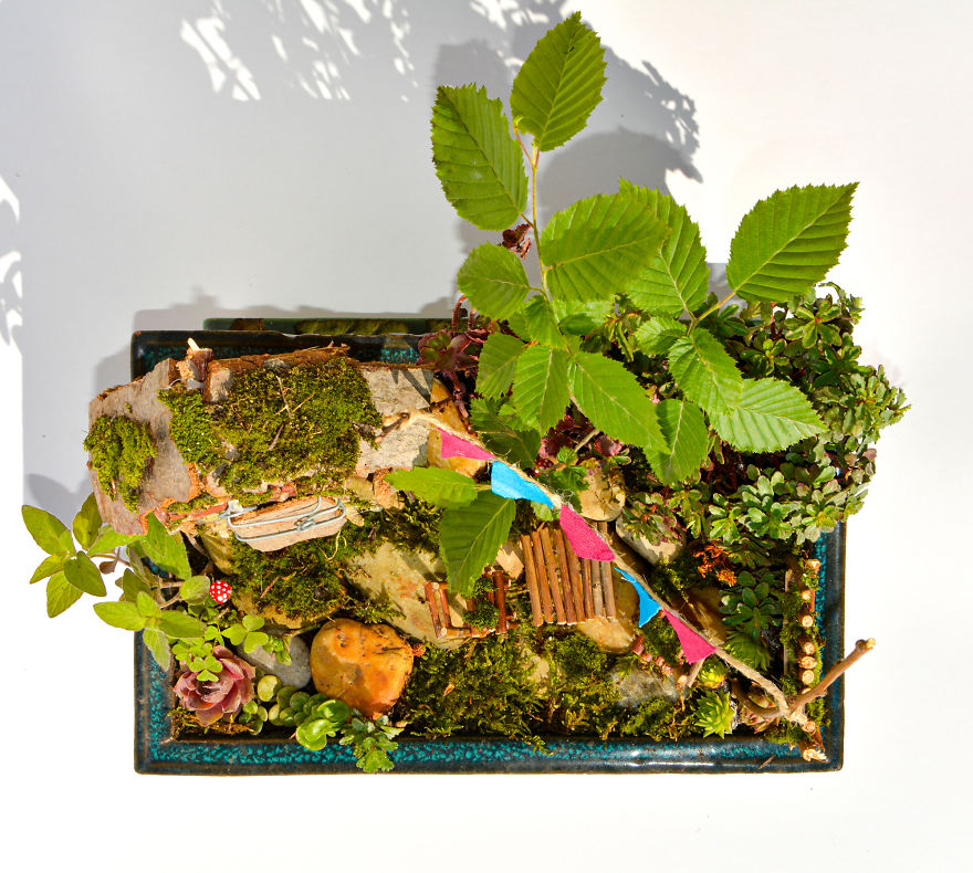 I Started Making Tiny Gardens At Home To Relax From My Everyday Job (28 Pics)