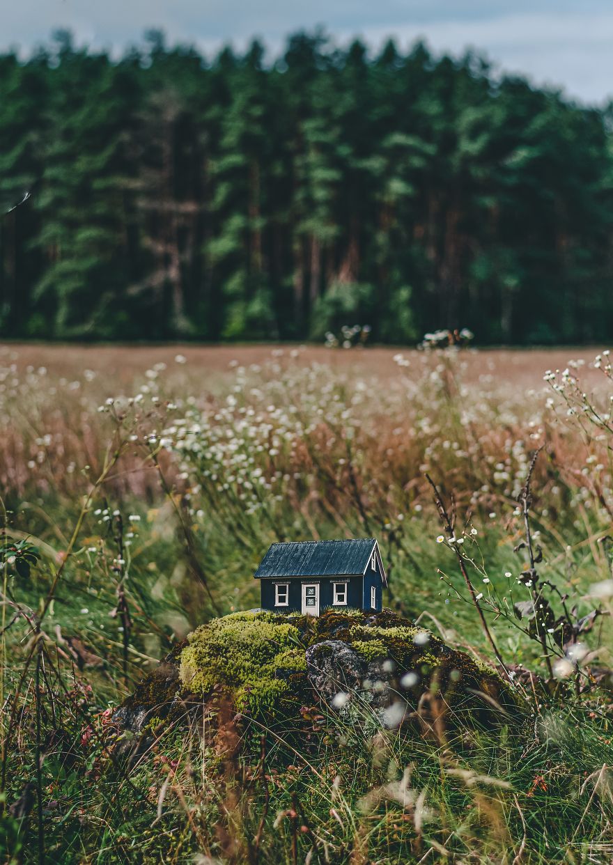 Hi! I'm Marcelina, And I Build Houses