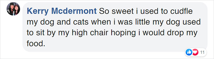 Watch Little Girl Get Ready For A Nap With Her Golden Retriever Dabao And Cat Motor