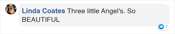 Watch Little Girl Get Ready For A Nap With Her Golden Retriever Dabao And Cat Motor