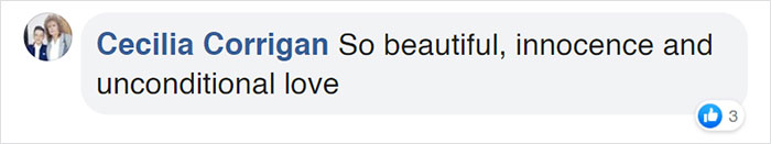 Watch Little Girl Get Ready For A Nap With Her Golden Retriever Dabao And Cat Motor