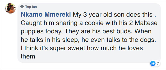 Watch Little Girl Get Ready For A Nap With Her Golden Retriever Dabao And Cat Motor