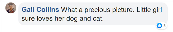 Watch Little Girl Get Ready For A Nap With Her Golden Retriever Dabao And Cat Motor