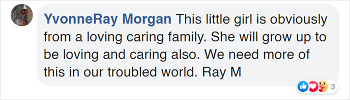 Watch Little Girl Get Ready For A Nap With Her Golden Retriever Dabao And Cat Motor