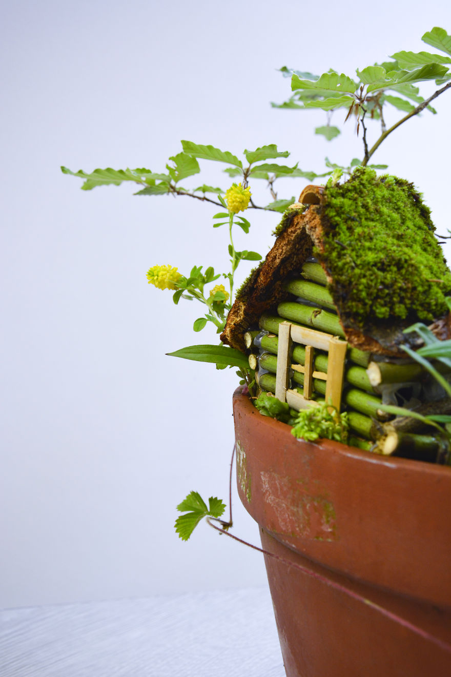 I Started Making Tiny Gardens At Home To Relax From My Everyday Job (28 Pics)