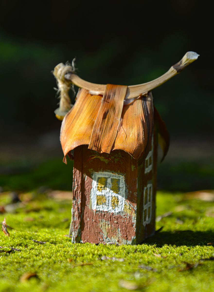 I Started Making Tiny Gardens At Home To Relax From My Everyday Job (28 Pics) I Started Making Tiny Gardens At Home To Relax From My Everyday Job (28 Pics)