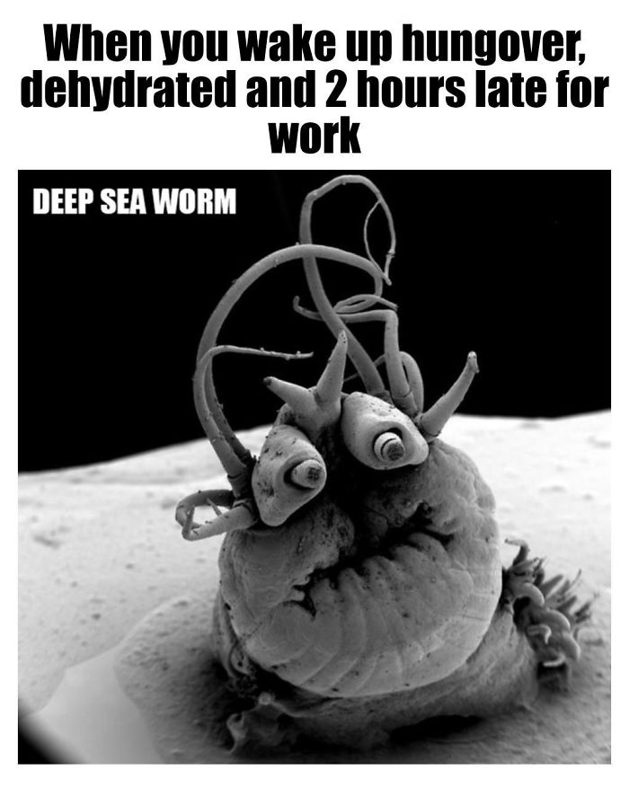 Microscopic-Creatures-Memes