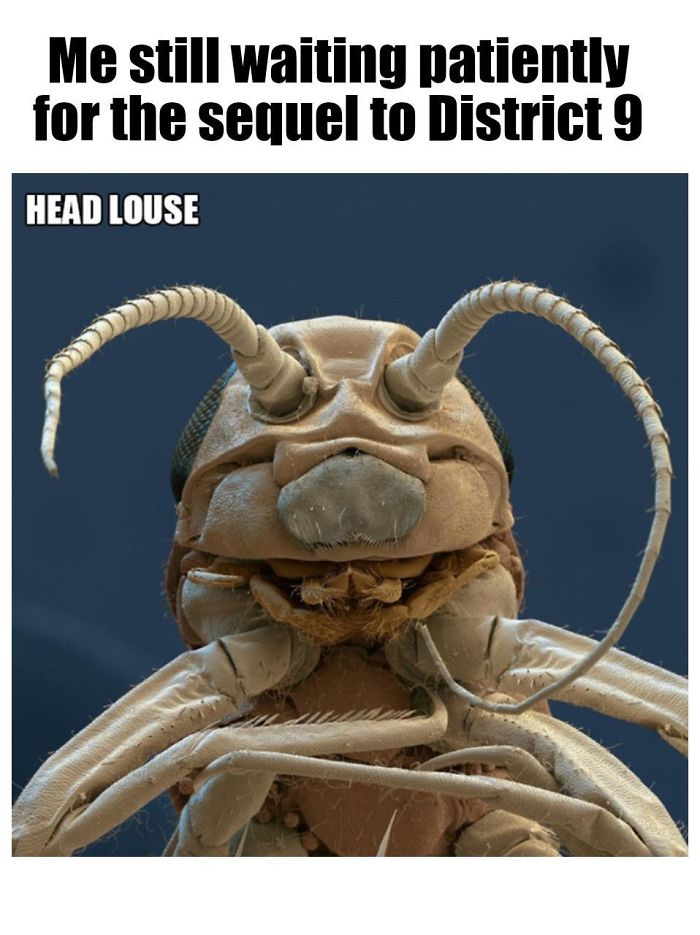 Microscopic-Creatures-Memes
