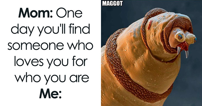 9 Micro-Memes To Make You Micro-Laugh