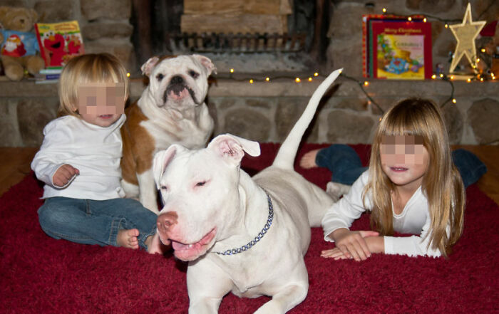 50 People Are Sharing The Most Wholesome Things They Have Seen