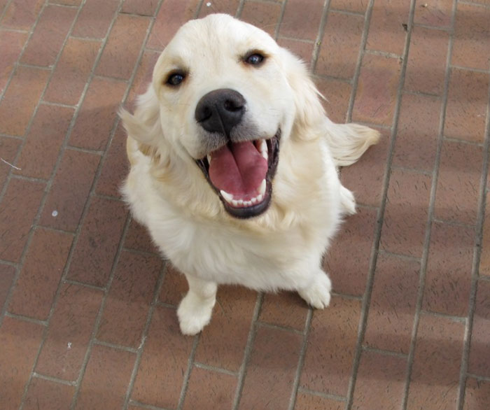 50 People Are Sharing The Most Wholesome Things They Have Seen