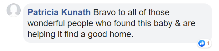 After Being Found Starving And Severely Dehydrated, 14-Week-Old Mountain Lion Cub Doubles Her Weight And Is Now Thriving After Being Found Starving And Severely Dehydrated, 14-Week-Old Mountain Lion Cub Doubles Her Weight And Is Now Thriving