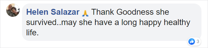 After Being Found Starving And Severely Dehydrated, 14-Week-Old Mountain Lion Cub Doubles Her Weight And Is Now Thriving