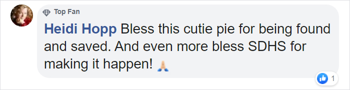 After Being Found Starving And Severely Dehydrated, 14-Week-Old Mountain Lion Cub Doubles Her Weight And Is Now Thriving