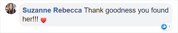 After Being Found Starving And Severely Dehydrated, 14-Week-Old Mountain Lion Cub Doubles Her Weight And Is Now Thriving After Being Found Starving And Severely Dehydrated, 14-Week-Old Mountain Lion Cub Doubles Her Weight And Is Now Thriving