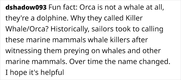 Artist Who Makes People Cry With Her Animal Abuse Comics Just Released A New Tragic One About Orcas
