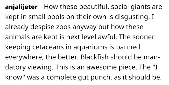 Artist Who Makes People Cry With Her Animal Abuse Comics Just Released A New Tragic One About Orcas