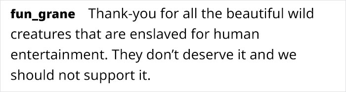 Artist Who Makes People Cry With Her Animal Abuse Comics Just Released A New Tragic One About Orcas