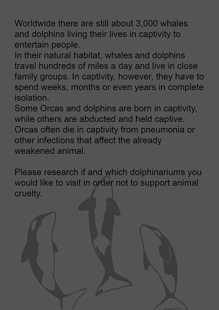 Artist Who Makes People Cry With Her Animal Abuse Comics Just Released A New Tragic One About Orcas Artist Who Makes People Cry With Her Animal Abuse Comics Just Released A New Tragic One About Orcas