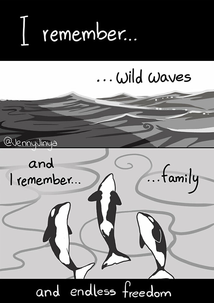 Artist Who Makes People Cry With Her Animal Abuse Comics Just Released A New Tragic One About Orcas Artist Who Makes People Cry With Her Animal Abuse Comics Just Released A New Tragic One About Orcas