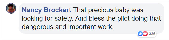 Owl Casually Flies Into Helicopter That's In Flight Over Californian Wildfires Owl Casually Flies Into Helicopter That's In Flight Over Californian Wildfires