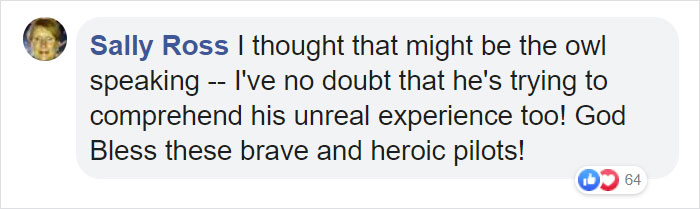 Owl Casually Flies Into Helicopter That's In Flight Over Californian Wildfires Owl Casually Flies Into Helicopter That's In Flight Over Californian Wildfires