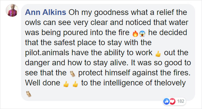 Owl Casually Flies Into Helicopter That's In Flight Over Californian Wildfires