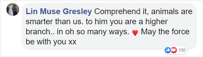 Owl Casually Flies Into Helicopter That's In Flight Over Californian Wildfires