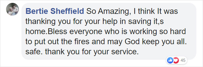 Owl Casually Flies Into Helicopter That's In Flight Over Californian Wildfires Owl Casually Flies Into Helicopter That's In Flight Over Californian Wildfires