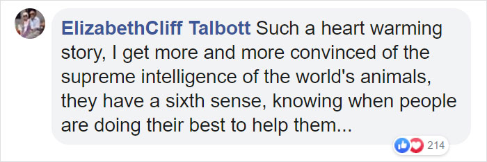 Owl Casually Flies Into Helicopter That's In Flight Over Californian Wildfires