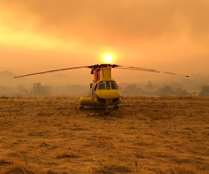 Owl Casually Flies Into Helicopter That's In Flight Over Californian Wildfires Owl Casually Flies Into Helicopter That's In Flight Over Californian Wildfires