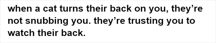 Cat Owners Explain How Cat Body Language Is Often Misinterpreted By 'Dog People' Cat Owners Explain How Cat Body Language Is Often Misinterpreted By 'Dog People'