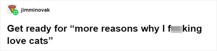 Cat Owners Explain How Cat Body Language Is Often Misinterpreted By 'Dog People'