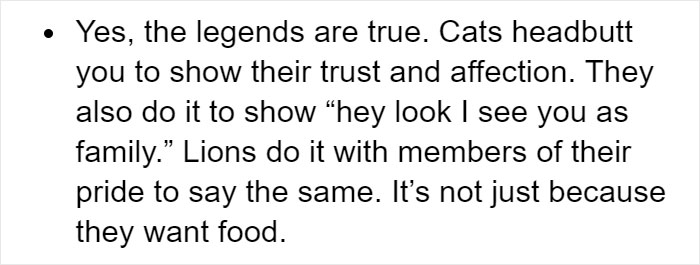 Cat Owners Explain How Cat Body Language Is Often Misinterpreted By 'Dog People'