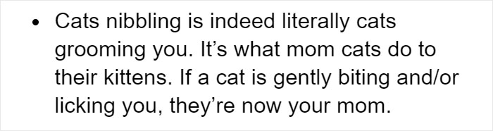 Cat Owners Explain How Cat Body Language Is Often Misinterpreted By 'Dog People' Cat Owners Explain How Cat Body Language Is Often Misinterpreted By 'Dog People'
