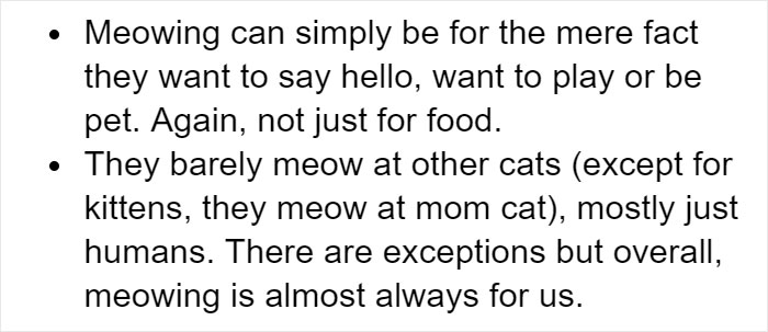 Cat Owners Explain How Cat Body Language Is Often Misinterpreted By 'Dog People'