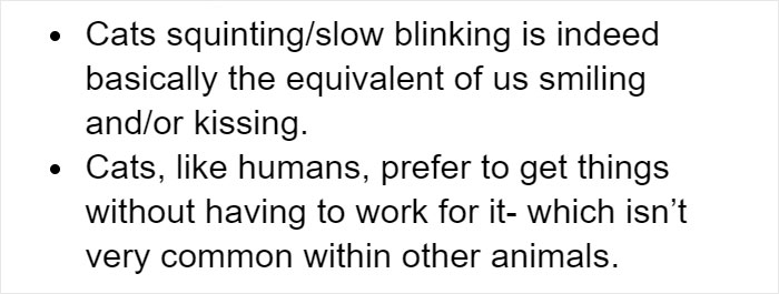 Cat Owners Explain How Cat Body Language Is Often Misinterpreted By 'Dog People'