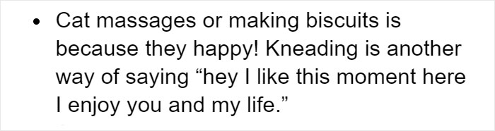 Cat Owners Explain How Cat Body Language Is Often Misinterpreted By 'Dog People' Cat Owners Explain How Cat Body Language Is Often Misinterpreted By 'Dog People'