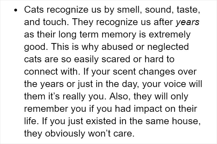 Cat Owners Explain How Cat Body Language Is Often Misinterpreted By 'Dog People' Cat Owners Explain How Cat Body Language Is Often Misinterpreted By 'Dog People'