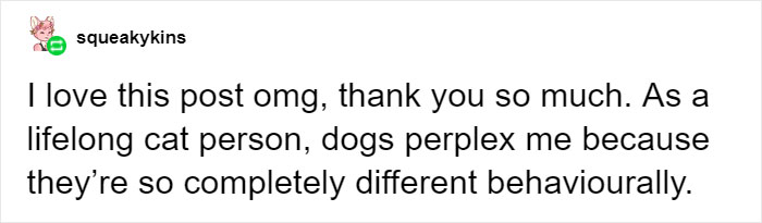 Cat Owners Explain How Cat Body Language Is Often Misinterpreted By 'Dog People' Cat Owners Explain How Cat Body Language Is Often Misinterpreted By 'Dog People'