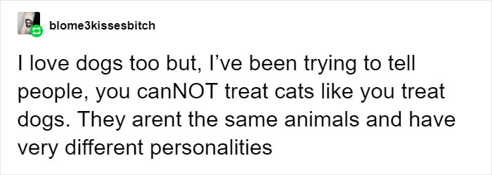 Cat Owners Explain How Cat Body Language Is Often Misinterpreted By 'Dog People' Cat Owners Explain How Cat Body Language Is Often Misinterpreted By 'Dog People'