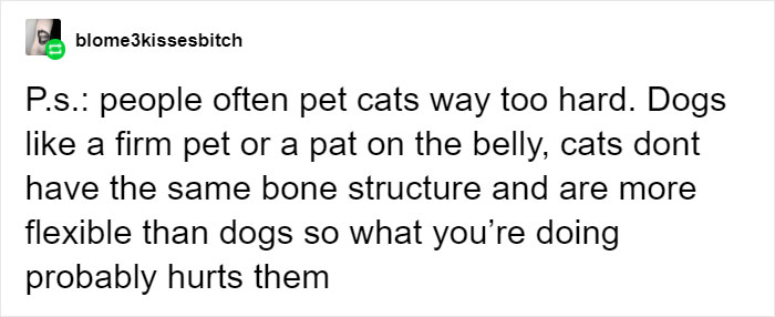 Cat Owners Explain How Cat Body Language Is Often Misinterpreted By 'Dog People' Cat Owners Explain How Cat Body Language Is Often Misinterpreted By 'Dog People'