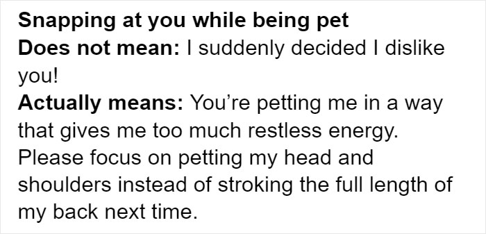 Cat Owners Explain How Cat Body Language Is Often Misinterpreted By 'Dog People'